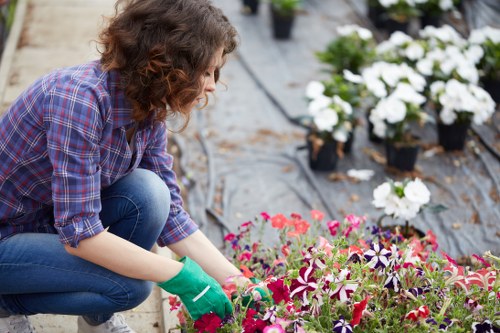 Professionally cut grass in a Cleaners SE22 garden