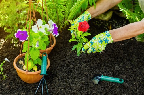 Customized garden design showcasing vibrant plantings
