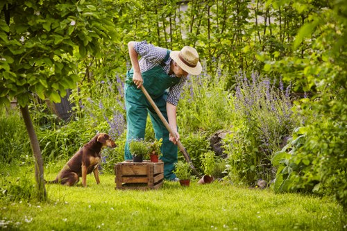 Tree stump removal in Cleaners SE22