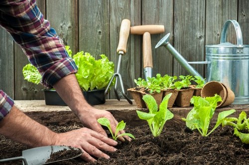 Seasonal garden care services in Cleaners SE22