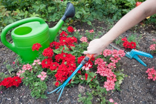 Skilled installer laying turf correctly on a prepared lawn
