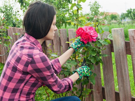 Professional garden decking design in Cleaners SE22