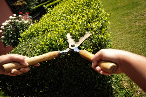 Professional driveway cleaning service in Cleaners SE22