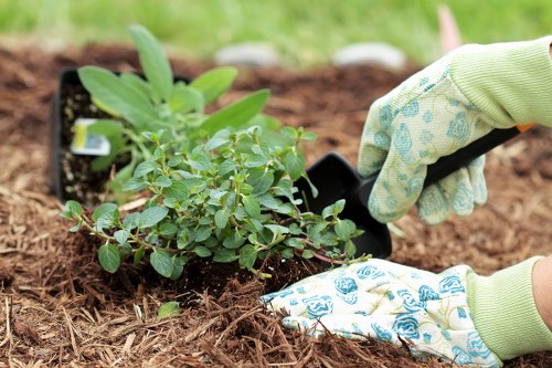 Selection of native plants for sustainable gardening
