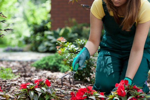 Benefits of regular driveway cleaning in SE22