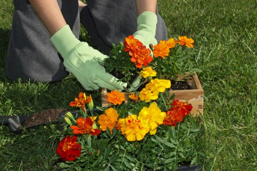 Eco-friendly lawn mowing practices
