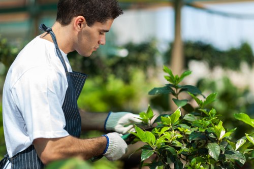 Benefits of hiring expert garden clearance services