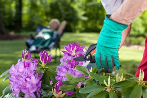 Professional garden design by Cleaners SE22 team