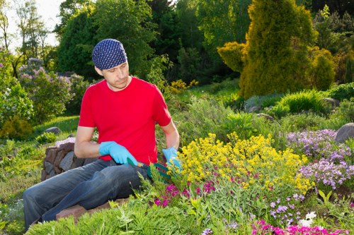 Professional cleaning equipment for driveway maintenance