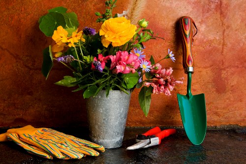 Top hedge trimmer brands available in Cleaners SE22