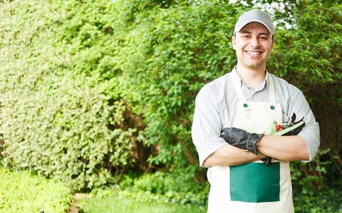 Landscaping professionals working on a residential lawn