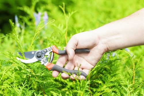 Key features of modern hedge trimmers