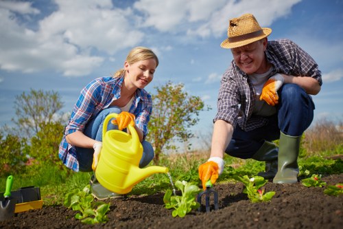 Professional stump grinding service in Cleaners SE22