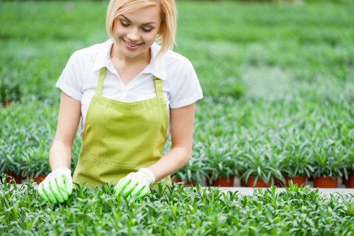 Assessing patio cleaning needs in SE22