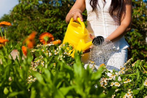Eco-friendly driveway restoration process in Marks Gate