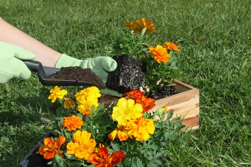 Sustainable gardening practices in Cleaners SE22