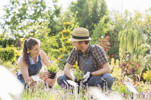 Gardener tending to plants in Cleaners SE22
