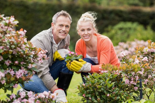 Benefits of stump removal services